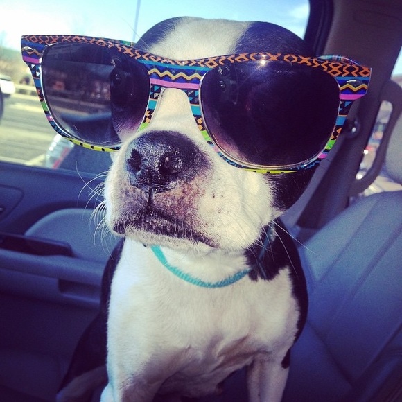 Meet your Posher, Scott - Picture 1 of 1